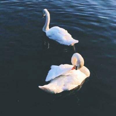 半岛·体育官方登录入口截图