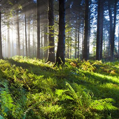 电玩城金鲨银鲨下载手机版