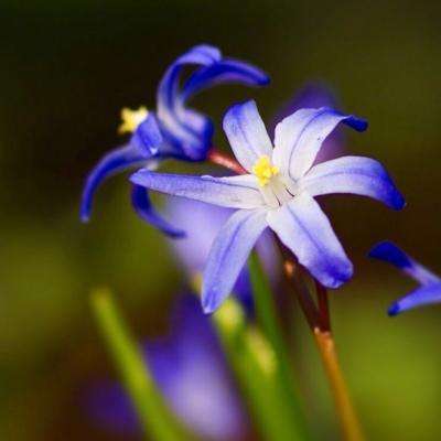 万博ManBetX登录网页版app下载