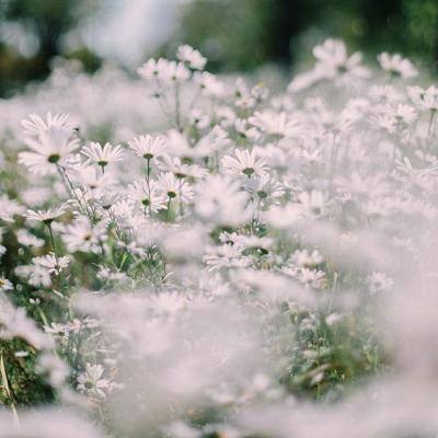 万博ManBetX登录网页版下载手机版