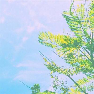 2023年新澳门今晚开特马