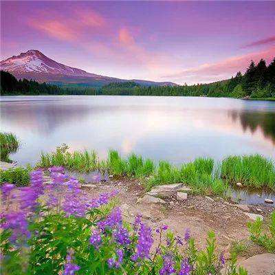 ob体育最新官网